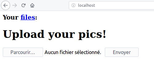 Rendu site web /images/bypass-file-upload/2023-10-05-16-29-21.png