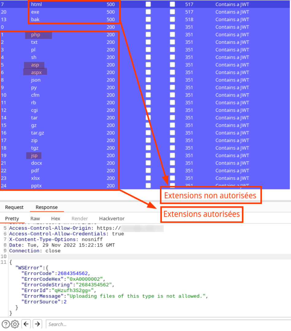 Too many file extensions /images/hacker-multinationale-via-file-upload-et-ssrf/screens/file-upload-1.png