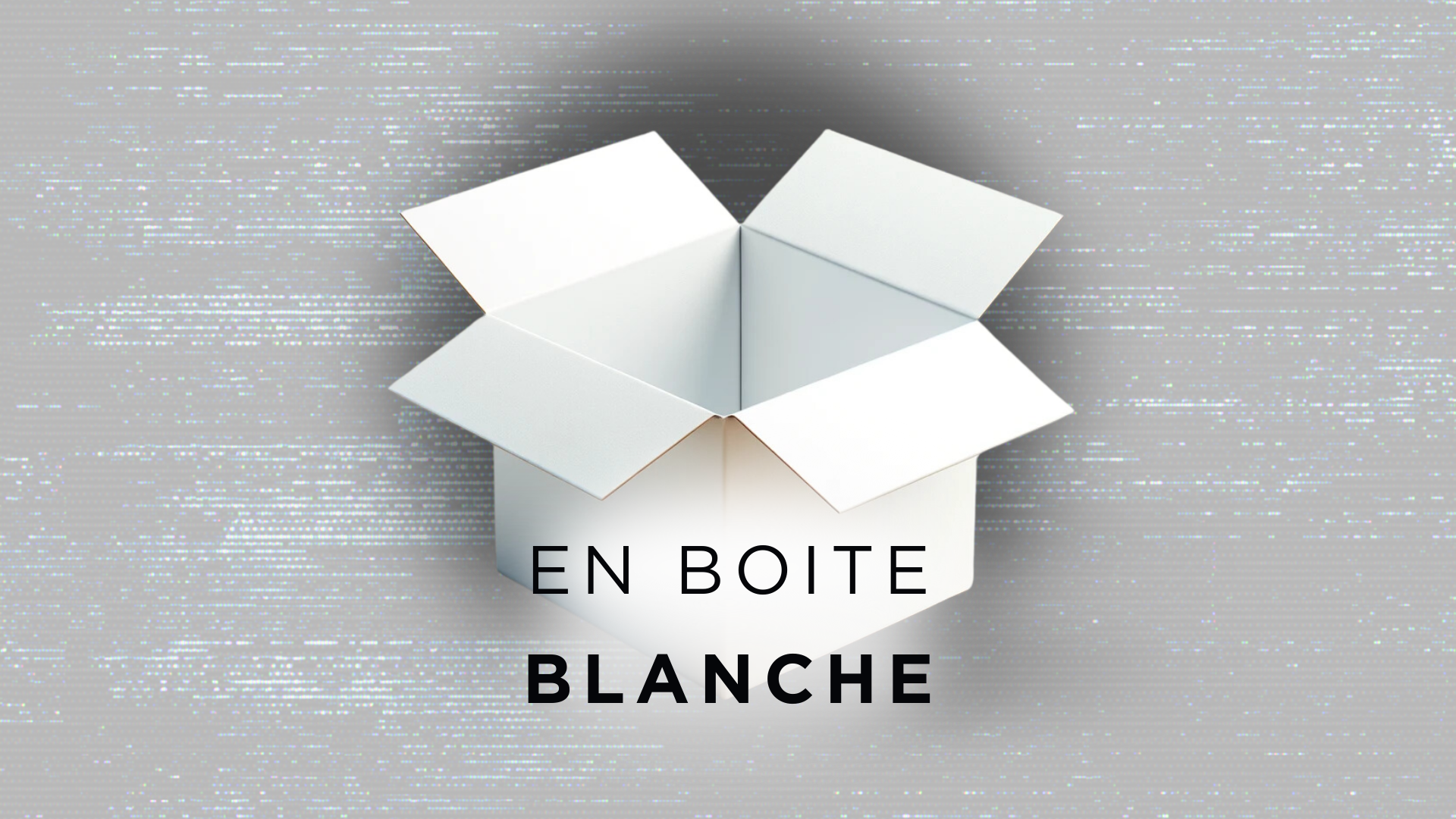 Test d’intrusion en boite blanche /images/quelle-d%C3%A9marche-test-intrusion/boite-blanche.png