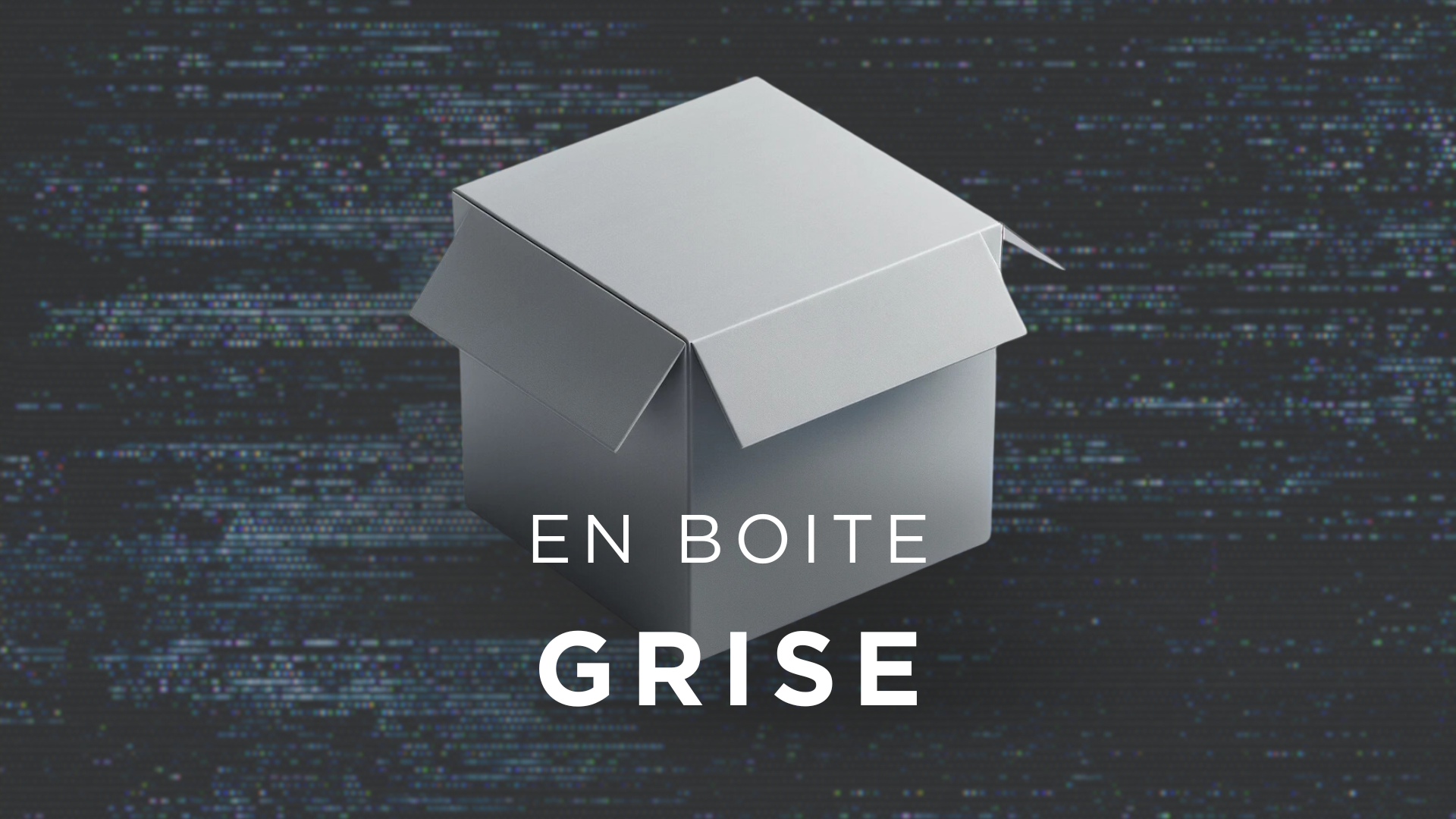 Test d’intrusion en boite grise /images/quelle-d%C3%A9marche-test-intrusion/boite-grise.png